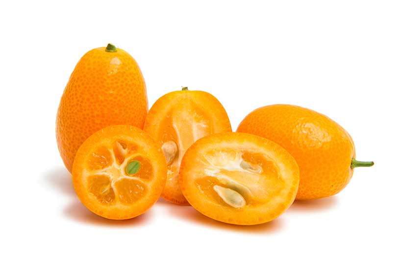 Nutritional value, efficacy and function of kumquat